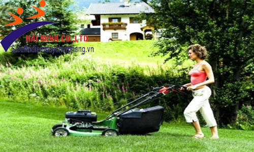 Máy cắt cỏ dùng để dọn dẹp cỏ vườn